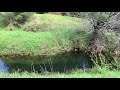 Sunny week making the river run low (Nature Visualizer)