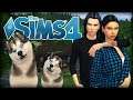 The Sims 4 🌼 Przygody Tosi i Zosi 🌼 z Oską #5 - Połączyły ich psy 🐾