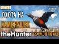 theHunter Call of the Wild #8 🐺 - Охота на Каменушек - Долина Юкона, Аляска