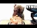 ASMR French Bulldog Eating Meat & cookies 먹방 | АСМР Французский бульдог ест мясную консерву печенье