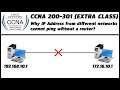 CCNA 200-301 | DAY 6 | Extra Class | Why IP Address from different networks or classes cannot ping?