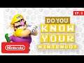 Do You Know Your Nintendo? - Episode 3