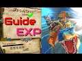 Guide EXP Monster Hunter Stories 2