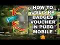 HOW TO USE 5 RP BADGES VOUCHER IN PUBG MOBILE | 5 RP BADGES VOUCHER | PUBG 5 RP BADGES VOUCHER (19)