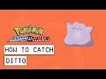 Pokemon Sword & Shield How To Catch Ditto