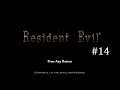 Resident Evil Casual Run #14 - Python