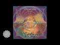 Tristan - Multi-Dimensional Consciousness