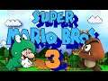 2 Vieux Gamers Jouent À Super Mario Bros 3 Complet (NES)
