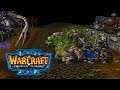 ПАДЕНИЕ ЛОРДЕРОНА (3) - ПОСЛЕДНИЙ СТРАЖ ЛОРДЕРОНА ● Warcraft 3: Frozen Throne [Доп.Кампания]