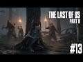BLIZNY [#13] The Last of Us: Part II