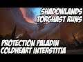 COLDHEART INTERSTITIA | World of Warcraft: Shadowlands | Torghast Layer Eight | Protection Paladin