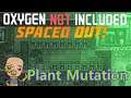 Ep 9 : Sleet Wheat Mutation : Oxygen not included Spaced out