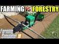 Farming Simulator 19 : FARMING vs FORESTRY - [ WOODCHIPS MAKING COMPARISON ]