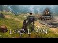 Lobo Licaón | Assassin's Creed: Odyssey #142