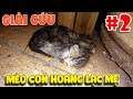 Mèo Hoang lạc mẹ tập 2 ( Baby Wild Cat ) | Văn Hóng