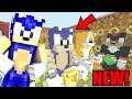 Minecraft Sonic The Hedgehog - NEW SONIC HILL ZONE HALL! [119]