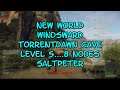 New World Windsward Torrentdawn Cave Level 5   8 Nodes Saltpeter