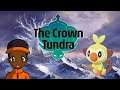Shiny Grookey Hunting - Pokémon Crown Tundra Shiny Hunting LIVE