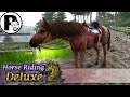 Amore ist zurück aus dem Winterschlaf #05 | Horse Riding Deluxe 2 | Let's Play