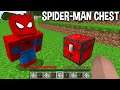 its UNBELIEVABLE but WHAT INSIDE SPIDER-MAN CHEST in Minecraft ???