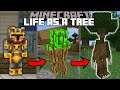 Minecraft LIFE AS A TREE MOD / BECOME A TREE AND GROWTH PLANTS !! Minecraft