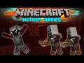Minecraft: The Nether Diaries | Part 14 | Raiders!