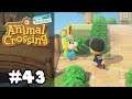 Still Seeking the Ranchu Goldfish but Easily Distracted in Animal Crossing: New Horizons (Switch)