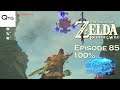 Zelda - Breath of the Wild 100% - Episode 85: Collecting Around The Castle