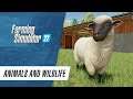 🐮 Animals & Wildlife in Farming Simulator 22