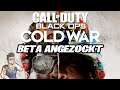 COD Black Ops Cold War - Beta Angezockt! Viel besser als Modern Warfare? 🤔 | Call of Duty Cold War