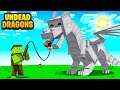 We TAME UNDEAD DRAGONS in Minecraft!