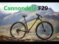 Cannondale f29