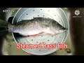 Cooking Steamed sea bass fish Thai foods