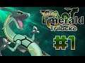 Pokemon Emerald TriLocke | Episode 1 | An Amazing Luck
