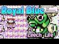 Pokemon Royal Blue - A GB HACK ROM in 2010, It's hard a little bit, and the move set is changed!