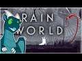Rain World First Time Playing FULL BLIND GAMEPLAY Survivor Difficulty