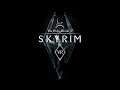 The Elder Scrolls V: Skyrim VR - Stream #1 (VrCam - I AM THE DRAGONBORN!!!)