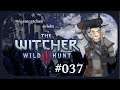The Witcher 3: Wild Hunt 🐺 - #037 - Der mächtige Allgott [USK 18][NEW GAME +]