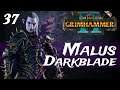 Total War: Warhammer 2 | SFO Grimhammer II - Malus Darkblade Campaign #37 | Alms for Azhag