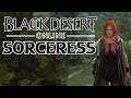 Black Desert Online Gameplay 2020