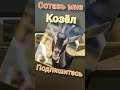 ОСТАВЬ МНЕ *КОЗЕЛ* ЖАДНЫЙ #cs #csgo #CSS #gameplay #fun #bugs #cs:go #shorts #short #мувик