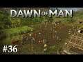 Dawn of Man | #36 - Extreme Arbeitsbelastung! - [Let's Play] [Gameplay] [Deutsch] [German]