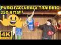 DIY Accuracy Punching Bag - Punch Accuracy Training (Boxing) 4K