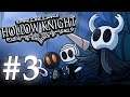 Hollow Knight - Part 3: Ihasnotomato's crazy cool Coke story