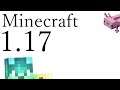Minecraft 1.17Live 新集落の続き！#2