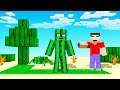 MINECRAFT But EVERYTHING You Touch BECOMES a CACTUS!