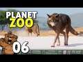Olha quem chegou no zoo! | Planet Zoo #06 - Gameplay PT-BR