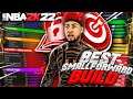 The GAMEBREAKING SMALL FORWARD BUILD is HERE! How to make the best Small forward build in NBA 2K22!