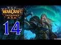 Прохождение Warcraft 3: Reforged #14 - Глава 9: Ледяная Скорбь [Альянс - Падение Лордерона]