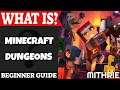 Minecraft Dungeons Introduction | What Is Series